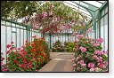 Serres royales de Laeken Koninklijke laken Koninklijk belgie serre kasteel hdr art nouveau tuin bloemen bloem architect Alphonse Balat Koning Leopold II plantencollectie